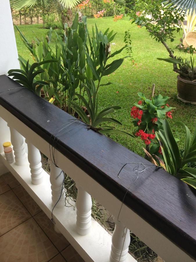 Palm Gardens Resort Bang Saphan Buitenkant foto